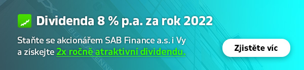 Pro investory